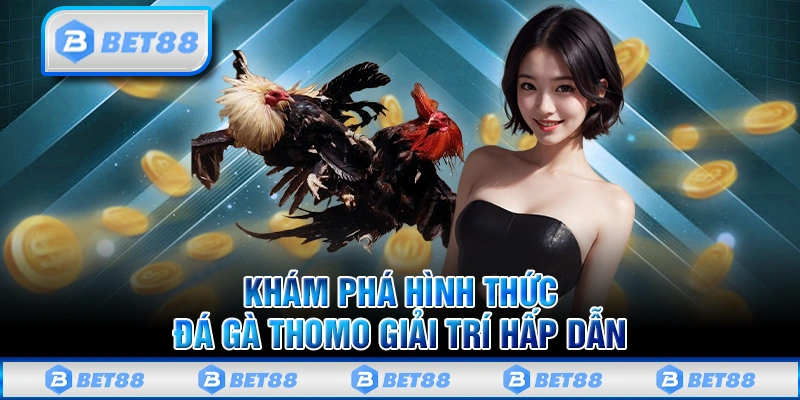Đá Gà Thomo - Giải Trí Kịch Tính Và Độc Đáo Trên Nhà Cái Bet88 1 Đá Gà Thomo - Giải Trí Kịch Tính Và Độc Đáo Trên Nhà Cái Bet88